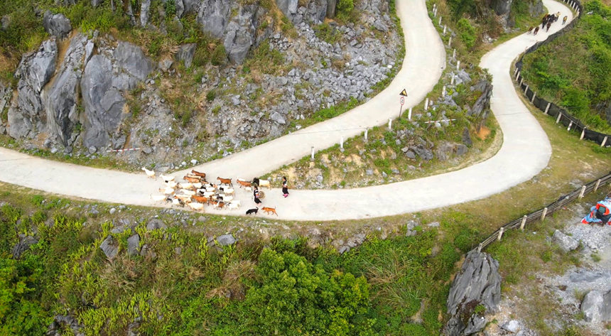 广西百色市右江区：瑶家生态养羊促增收