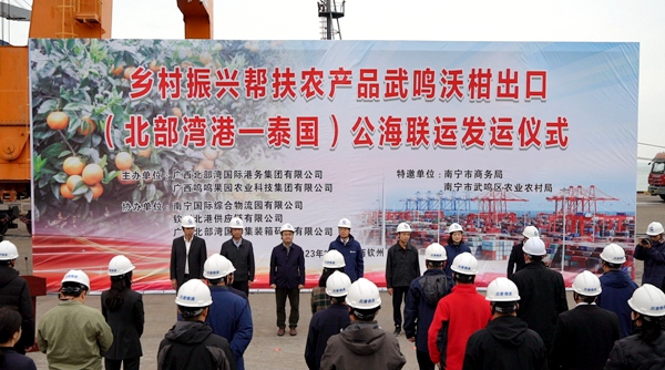乡村振兴帮扶农产品广西武鸣沃柑出口(北部湾港-泰国)公海联运发运仪式现场。黄琨摄