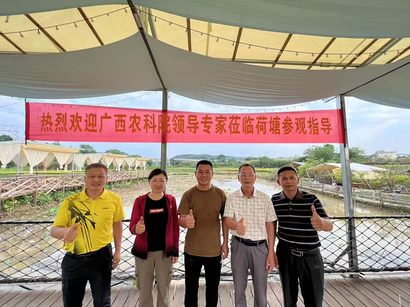 与广西农科院专家团队一起到合作社基地做科学调研。.jpg